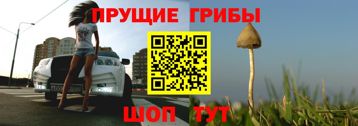 как найти наркотики  Вход с VPN  Екатеринбург  Псилоцибиновые грибы MAGIC MUSHROOMS 